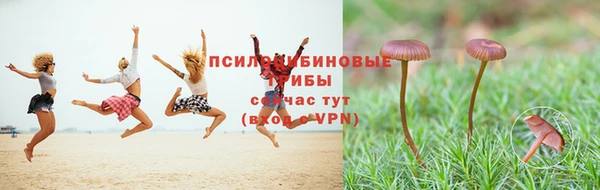 гидропоника Армянск